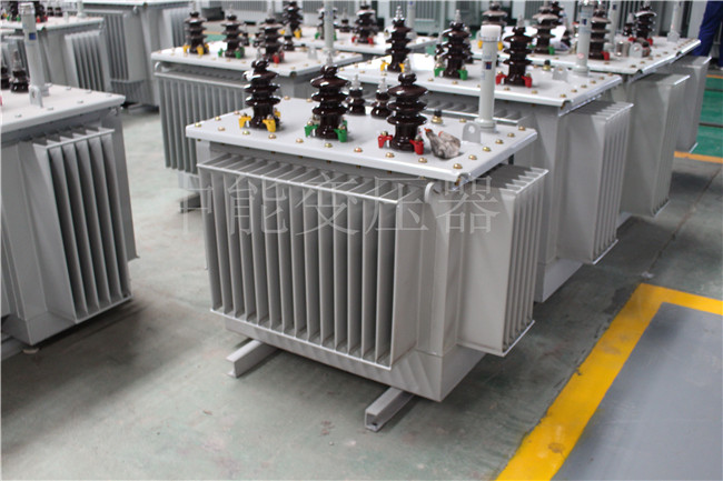 盘锦S22-100KVA/10KV/0.4KV变压器